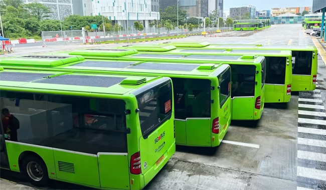 Autorización para desplegar 50 autobuses más equipados con paneles solares ultrafinos