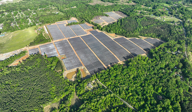 Europa tiene 51 TW de potencial fotovoltaico agrícola, 25 veces la demanda eléctrica actual