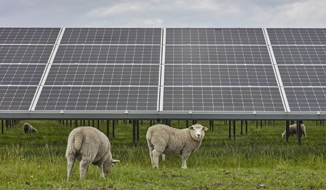 ¡Vietnam publica la última política de energía solar!